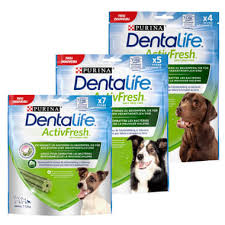 Dental Life - Activfresh