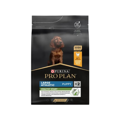 Large Athletic - Puppy - Healthy Start - Huhn