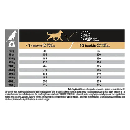 Medium - Adult - Everyday Nutrition - Chicken